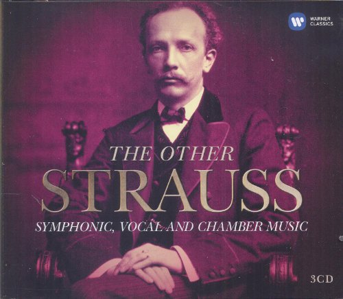 BEREZOVSKY - THE OTHER STRAUSS - SYMPHONIC, VOCAL AND CHAMBER MUSIC (CD)