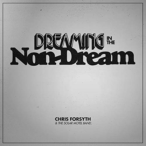 CHRIS FORSYTH & THE SOLAR MOTEL BAND - DREAMING IN THE NON-DREAM (CD)