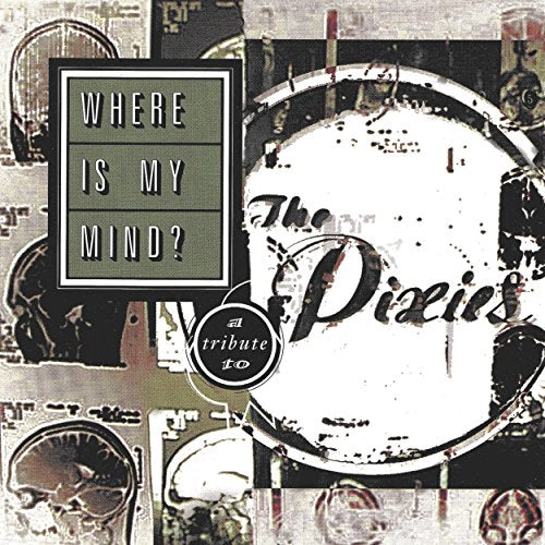 VARIOUS ARTISTS - WHERE IS MY MIND?: A TRIBUTE TO THE PIXIES (VINYL)