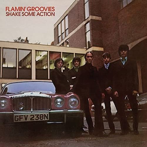 FLAMIN' GROOVIES - SHAKE SOME ACTION (VINYL)