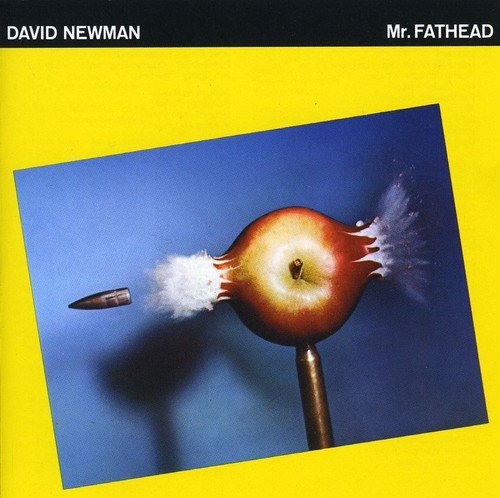 DAVID NEWMAN FATHEAD - MR. FATHEAD (CD)