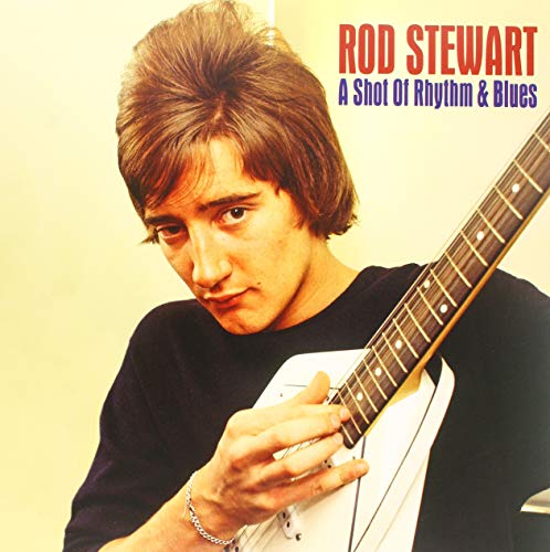 STEWART,ROD - SHOT OF RHYTHM & BLUES (VINYL)