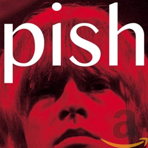 BRIAN JONESTOWN MASSACRE - MINI ALBUM THINGY WINGY (CD)