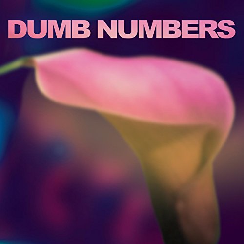 DUMB NUMBERS - DUMB NUMBERS (CD)