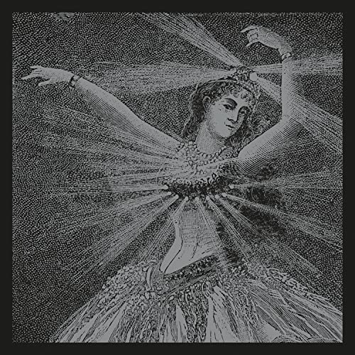 NEUTRAL MILK HOTEL (8LP BOX SET)