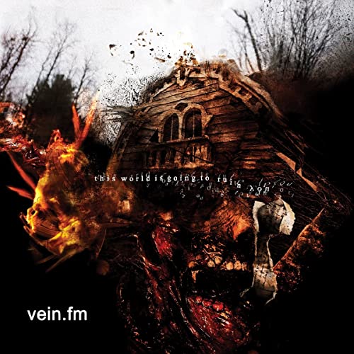 VEIN.FM - THIS WORLD IS GOING TO RUIN YOU (VINYL)