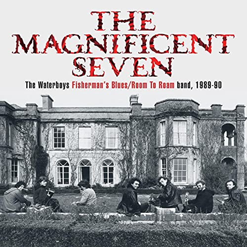 THE WATERBOYS - THE MAGNIFICENT SEVEN THE WATERBOYS FISHERMAN'S BLUES/ROOM TO ROAM BAND, 1989-90 (CD)