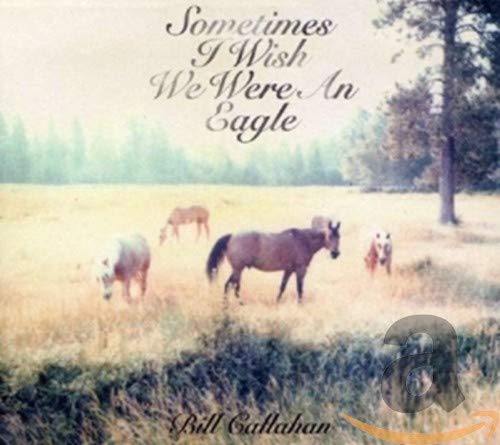 CALLAHAN,BILL - SOMETIMES I WISH WE WERE AN EAGLE (CD)