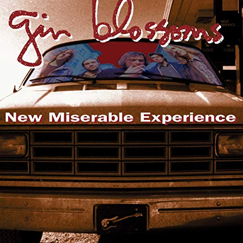 GIN BLOSSOMS - NEW MISERABLE EXPERIENCE (VINYL)