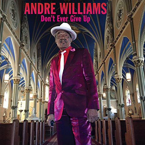 WILLIAMS,ANDRE - DON'T EVER GIVE UP (CD)