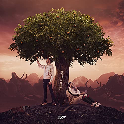 DTF - DOUBLE STAR (CD)