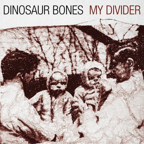 DINOSAUR BONES - MY DIVIDER