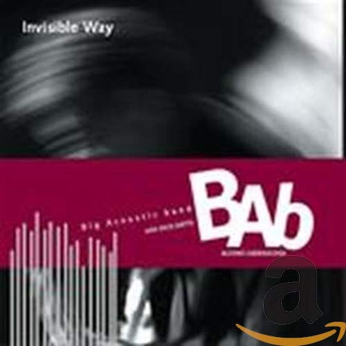 BIG ACOUSTIC BAND - INVISIBLE WAY (CD)