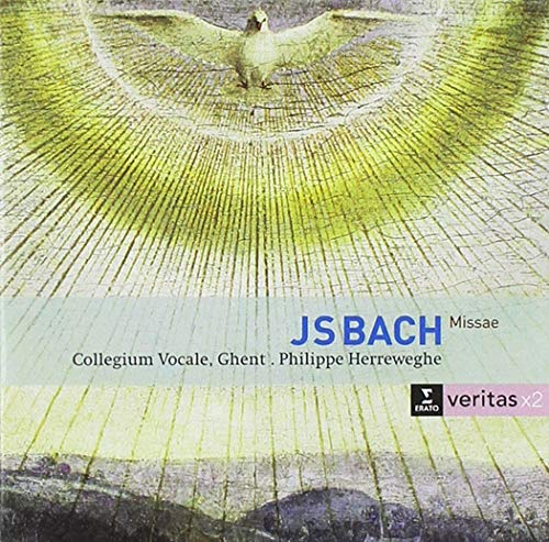 BACH, J.S. - BACH: MASSES BWV 233-235 SANCTUS BWV 238 (CD)