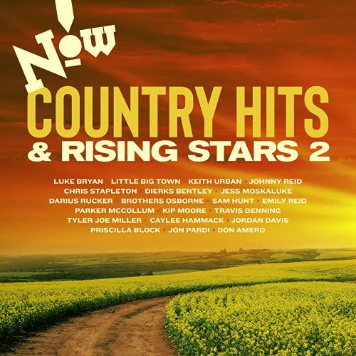 VARIOUS ARTISTS - NOW! COUNTRY: HITS & RISING STARS (CD)