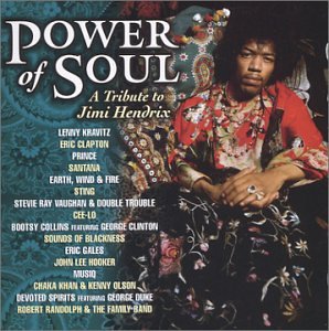 VARIOUS - TRIBUTE TO JIMI HENDRIX: POV