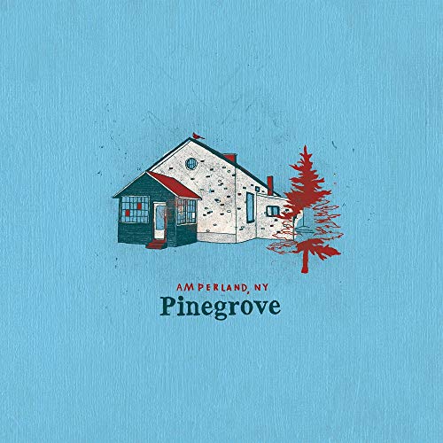 PINEGROVE - AMPERLAND NY (CD)