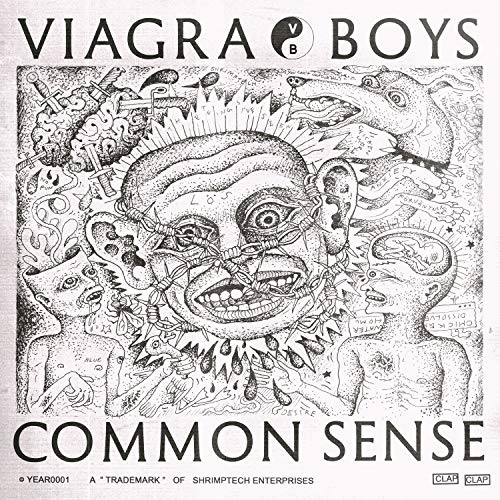 VIAGRA BOYS - COMMON SENSE (VINYL)