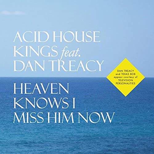 ACID HOUSE KINGS FEAT. DAN TREACY - HEAVEN KNOWS I MISS HIM NOW