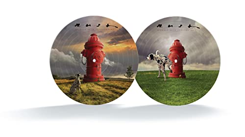 RUSH - SIGNALS (40TH ANNIVERSARY) (VINYL)