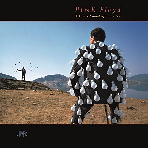 DELICATE SOUND OF THUNDER (STEREO REMAST-PINK FLOYD (CD)