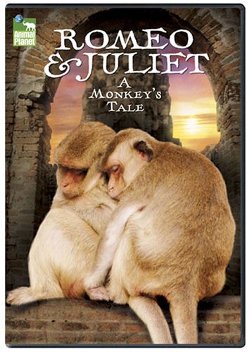 ROMEO & JULIET: A MONKEY'S TALE