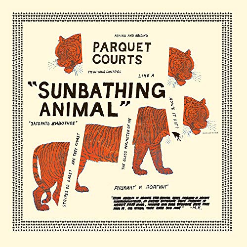 PARQUET COURTS - SUNBATHING ANIMAL (VINYL)