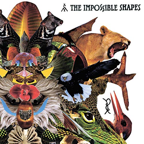 IMPOSSIBLE SHAPES - IMPOSSIBLE SHAPES (CD)