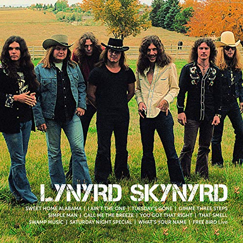 LYNYRD SKYNYRD - ICON (2LP VINYL)