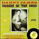 JAMES, DANNY - BOOGIE IN MUD: SOUTHERN SWAMP GUITAR (CD)