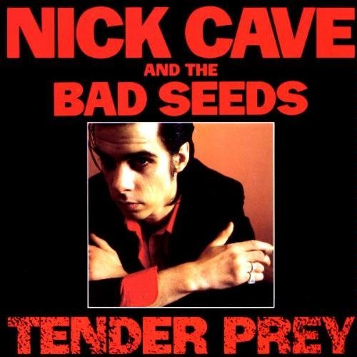 CAVE,NICK & THE BAD SEEDS - TENDER PREY (VINYL)