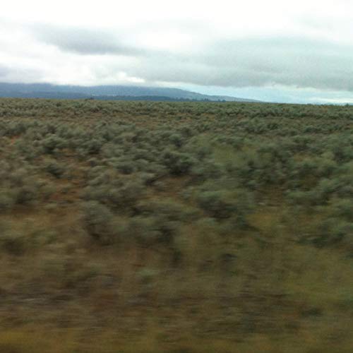 BISSEROV SISTERS & NADKA K - 50,000,000 ELVIS FANS CAN'T BE WRONG (VINYL)