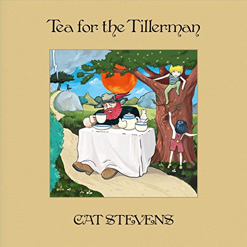 YUSUF / CAT STEVENS - TEA FOR THE TILLERMAN (SUPER DELUXE 5CD + BLU-RAY + 2LP VINYL) (CD)