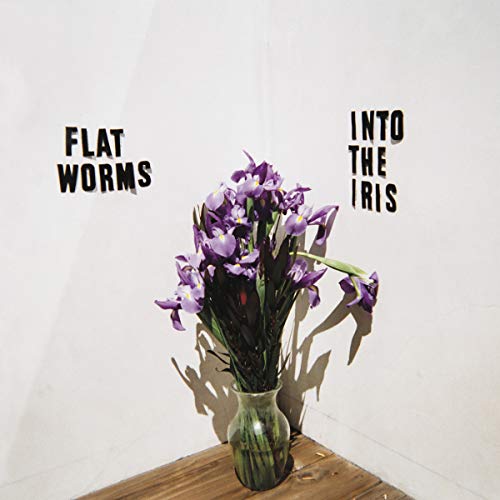 FLAT WORMS - INTO THE IRIS (CD)