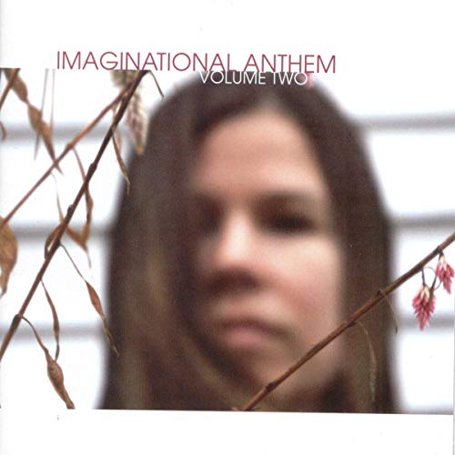 VARIOUS ARTISTS - IMAGINATIONAL ANTHEM VOL.2 / VARIOUS (CD)