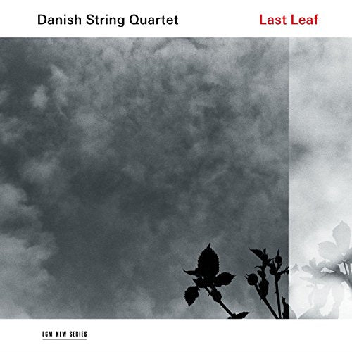 DANISH STRING QUARTET - LAST LEAF (VINYL)