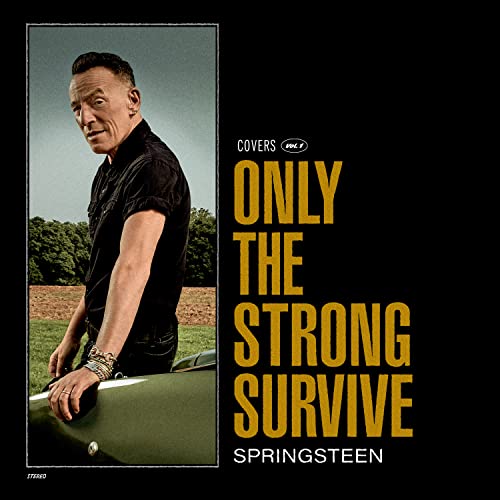 BRUCE SPRINGSTEEN - ONLY THE STRONG SURVIVE (CD)