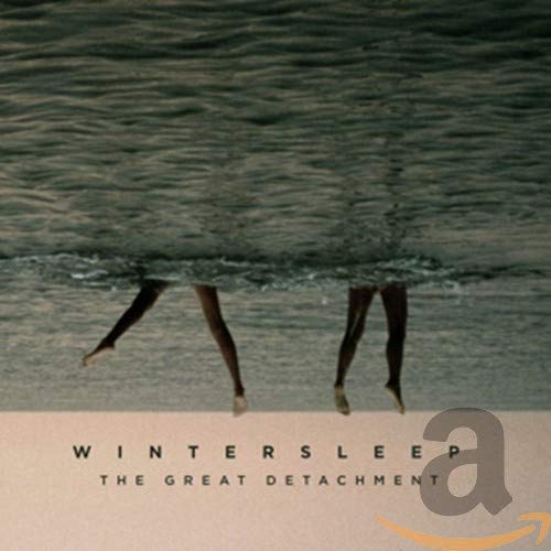 WINTERSLEEP - THE GREAT DETACHMENT (CD)