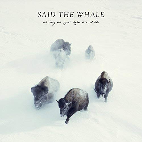 SAID THE WHALE - AS LONG AS YOUR EYES ARE WIDE (CD)