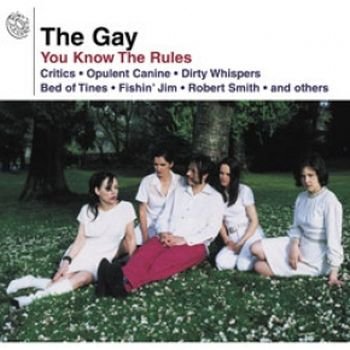 GAY - YOU KNOW THE RULES (VINYL)