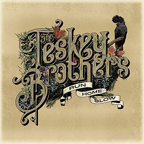 THE TESKEY BROTHERS - RUN HOME SLOW (CD)