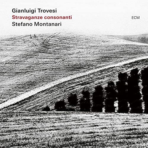 TROVESI, GIANLUIGI / MONTANARI, STEFANO - STRAVAGANZE CONSONANTI (CD)