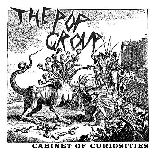 THE POP GROUP - CABINET OF CURIOSITIES (VINYL)