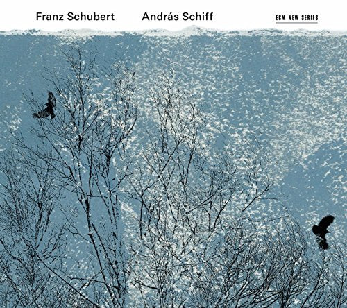 SCHIFF, ANDRAS - SCHUBERT (2CD) (CD)