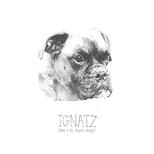 IGNATZ - CAN I GO HOME NOW (CD)