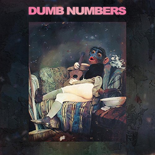 DUMB NUMBERS - II (VINYL)