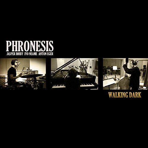 PHRONESIS - WALKING DARK (CD)