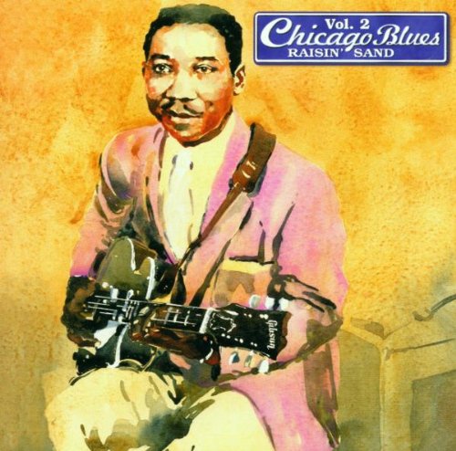 VARIOUS BLUES - CHICAGO BLUES VOL.2 (CD)