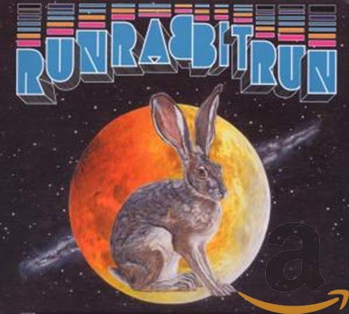 STEVENS, SUFJAN - RUN RABBIT RUN (CD)