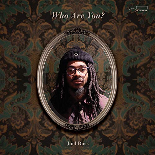 ROSS, JOEL - WHO ARE YOU? (VINYL)